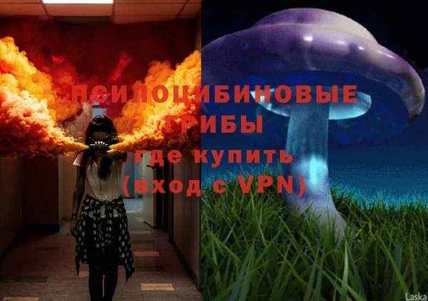 Альфа ПВП Чекалин