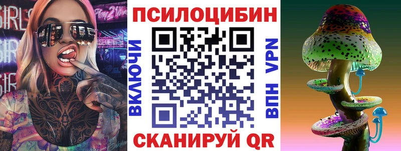 цена   Чёрмоз  Галлюциногенные грибы Cubensis 